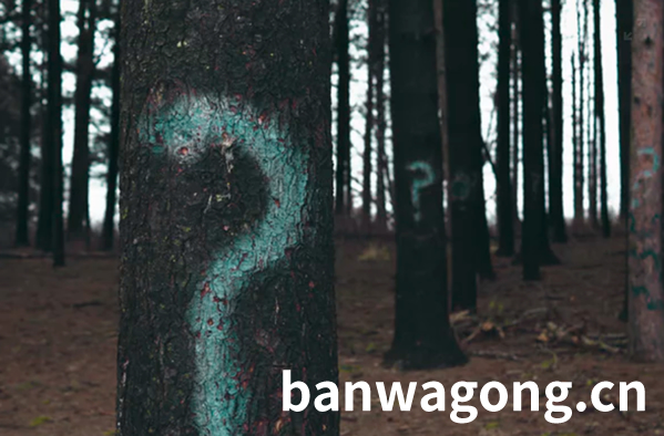 哪些问题可能导致服务器IP被封